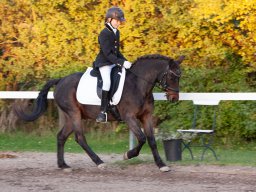 IMG_8132_web